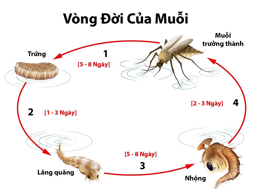 tài xỉu